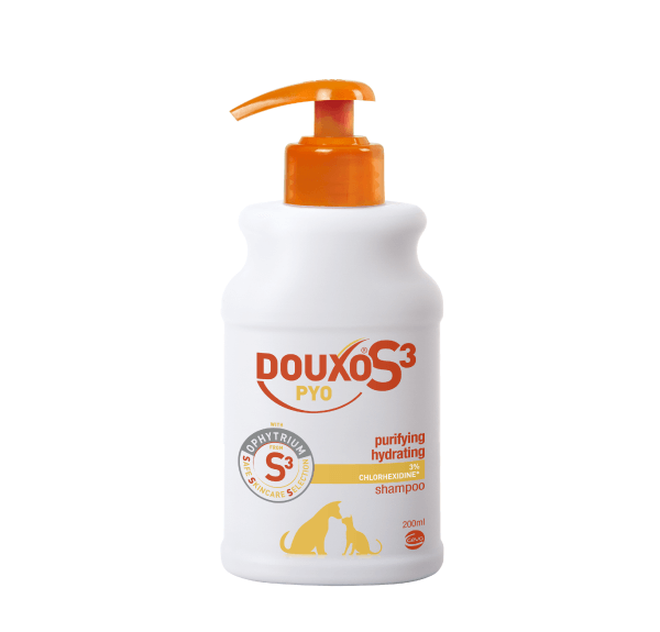 shampoo pack