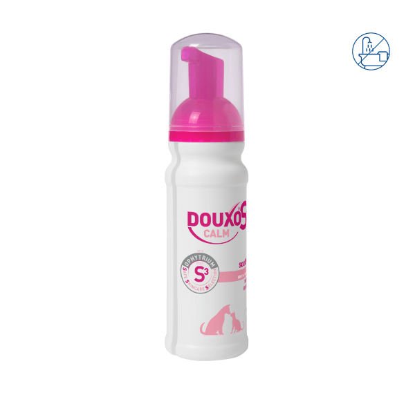 Mousse 3/4