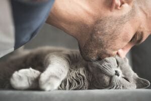 human-animal