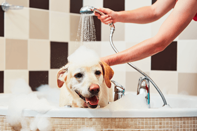 bath positive time
