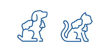 mousse dog cat bathless
